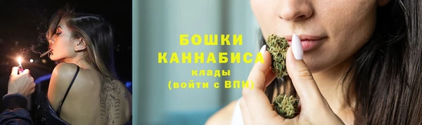 тгк Вяземский