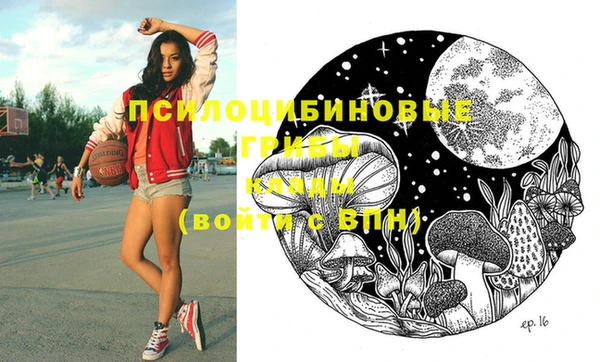 спиды Вязники